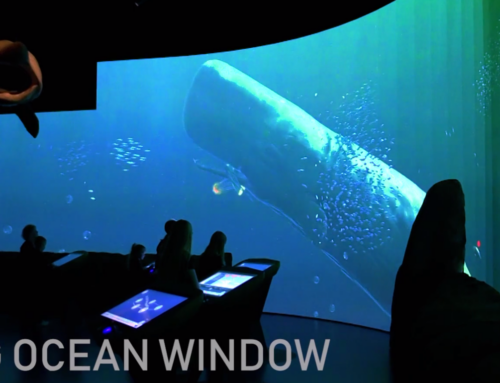 Big Ocean Window – Digital Aquarium